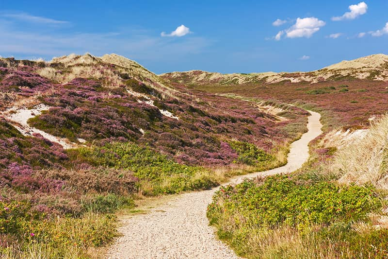 Vorteile Immobilie auf Sylt